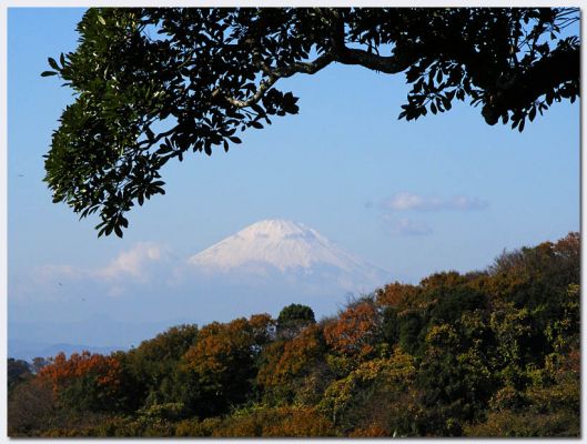 Kamakura14.jpg
