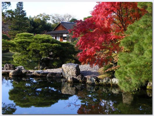 Katsura03.jpg