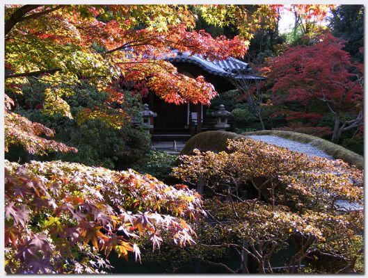 Katsura06.jpg
