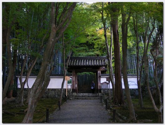 Katsura08.jpg