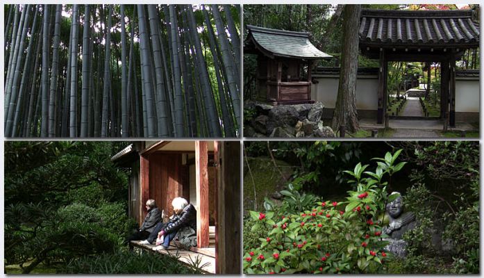 Katsura09.jpg