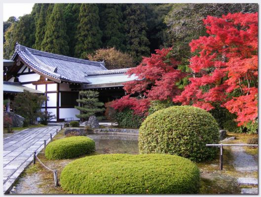Katsura14.jpg