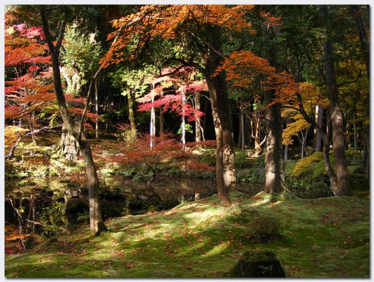 Katsura16.jpg