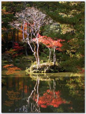 Katsura17.jpg