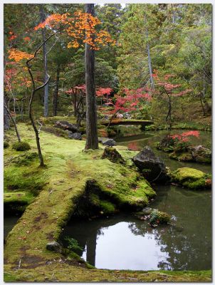 Katsura18.jpg