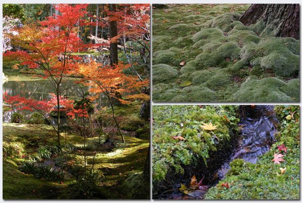 Katsura19.jpg