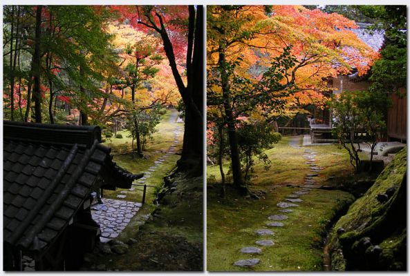 Katsura22.jpg