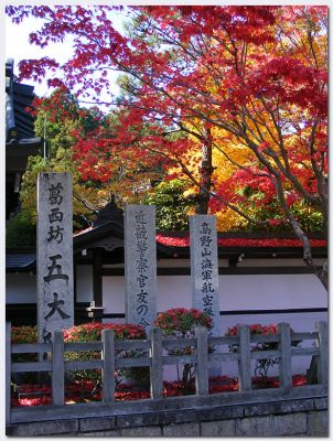 Koyasan13.jpg