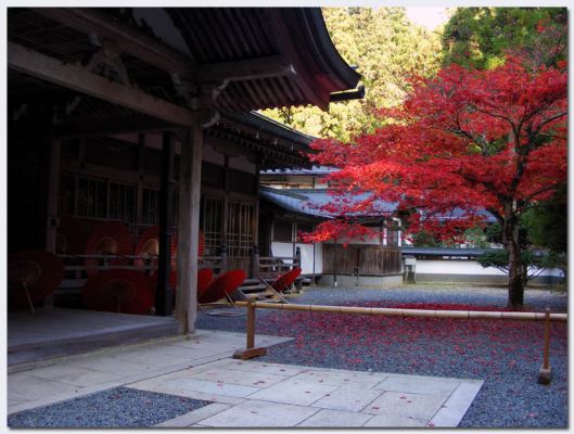 Koyasan22.jpg