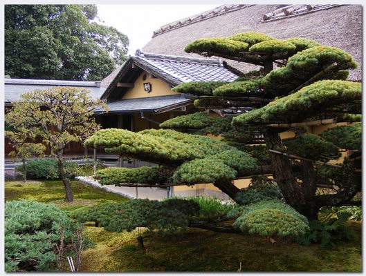 Nara13.jpg