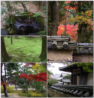 Nara20.jpg