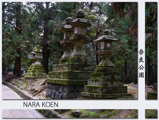 Nara201.jpg