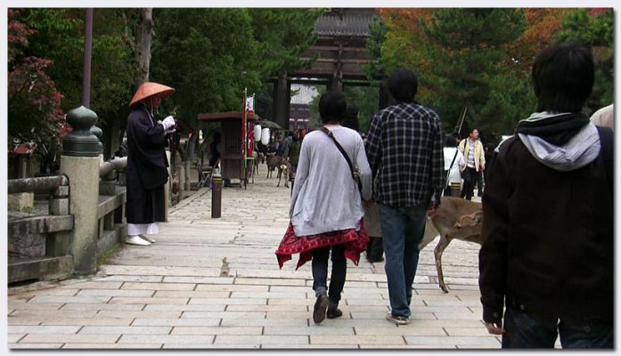 Nara202.jpg