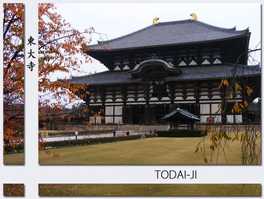 Nara204.jpg