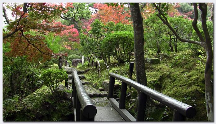 Nara209.jpg