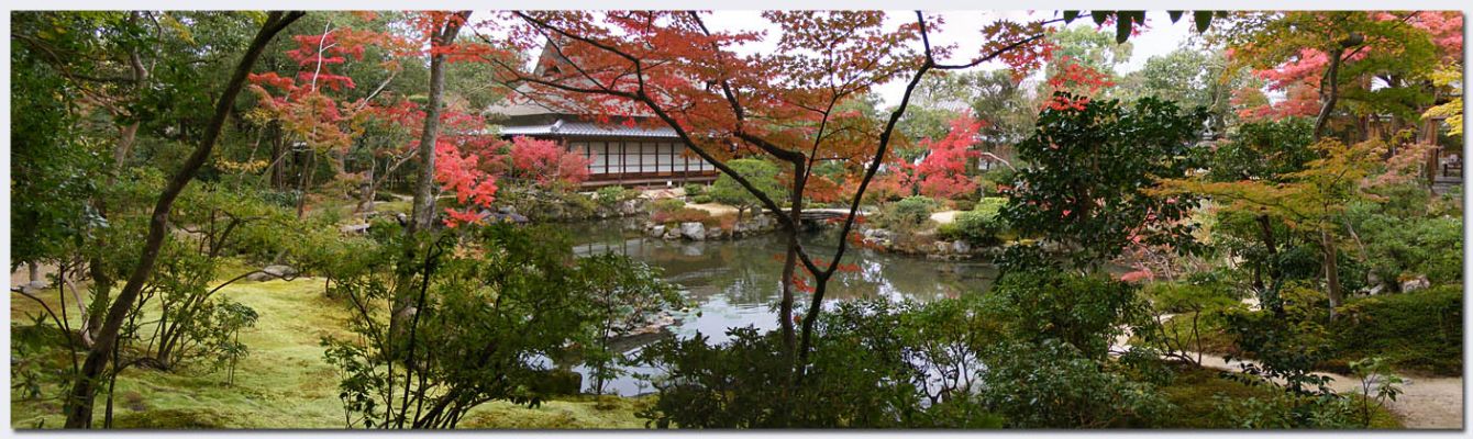 Nara210.jpg