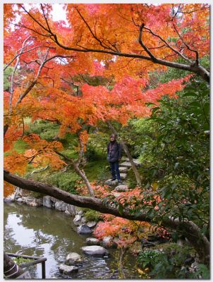 Nara212.jpg