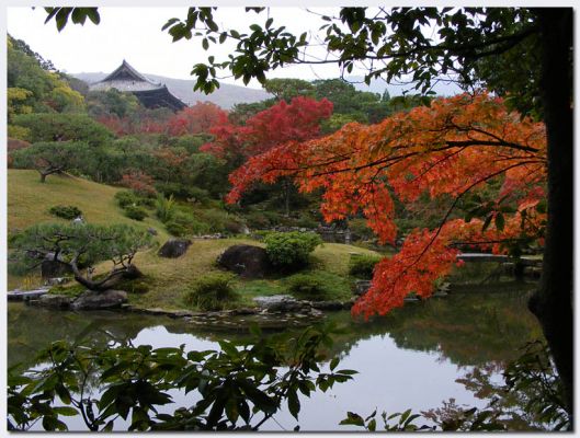 Nara213.jpg