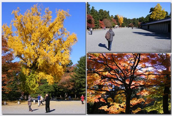 Shugakuin06.jpg