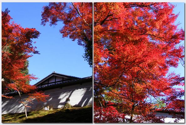 Shugakuin19.jpg