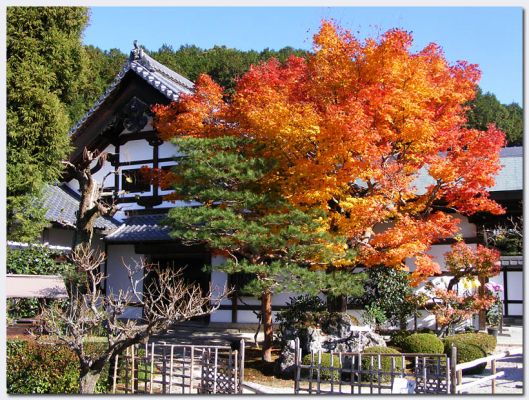 Shugakuin20.jpg