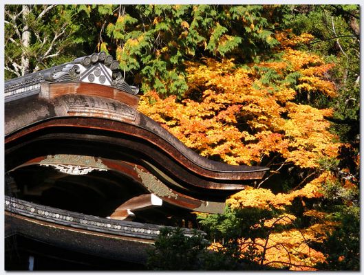 Takao03.jpg