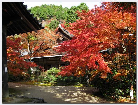 Takao09.jpg