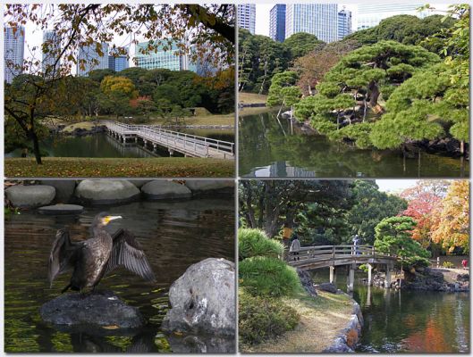 Tokyo110.jpg