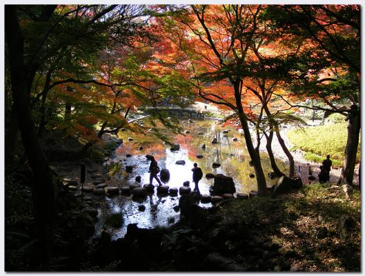 Tokyo204.jpg