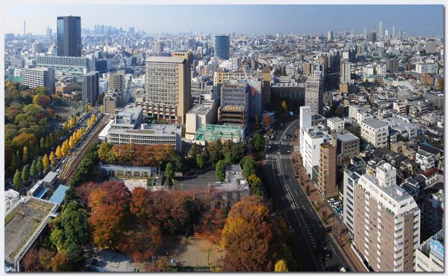 Tokyo207.jpg