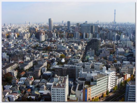 Tokyo207a.jpg