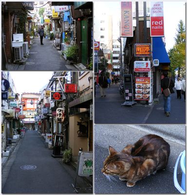 Tokyo213.jpg