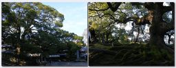 Higashiyama03.jpg