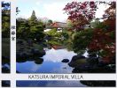 Katsura01.jpg