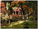 Katsura16.jpg