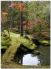 Katsura18.jpg