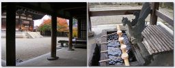 Nara05.jpg