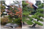Nara08.jpg
