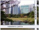 Tokyo109.jpg