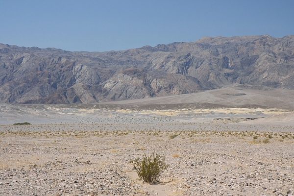 IMG_1471.JPG