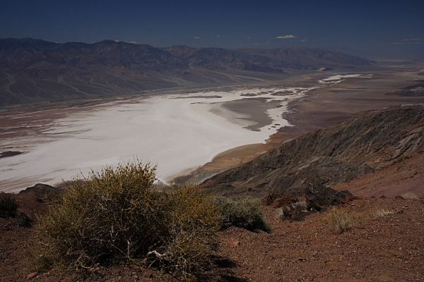 IMG_1485.JPG