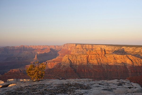 IMG_1780.JPG