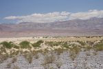 IMG_1474.JPG