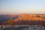 IMG_1780.JPG