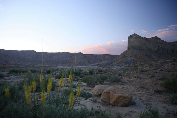 IMG_2063.JPG