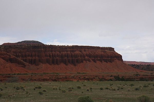 IMG_2412.JPG