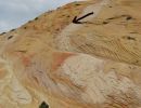 Yellow_Rock_2039.jpg