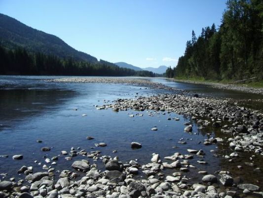 Am Ufer des North Thompson Rivers
