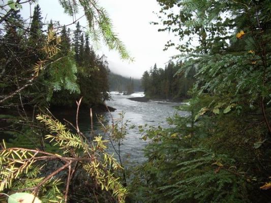Am Clearwater River
