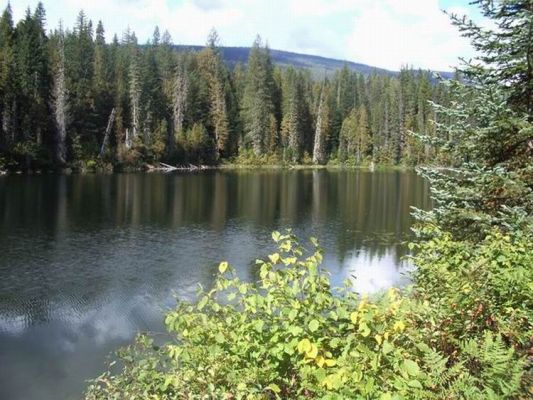 Cleawater Lake

